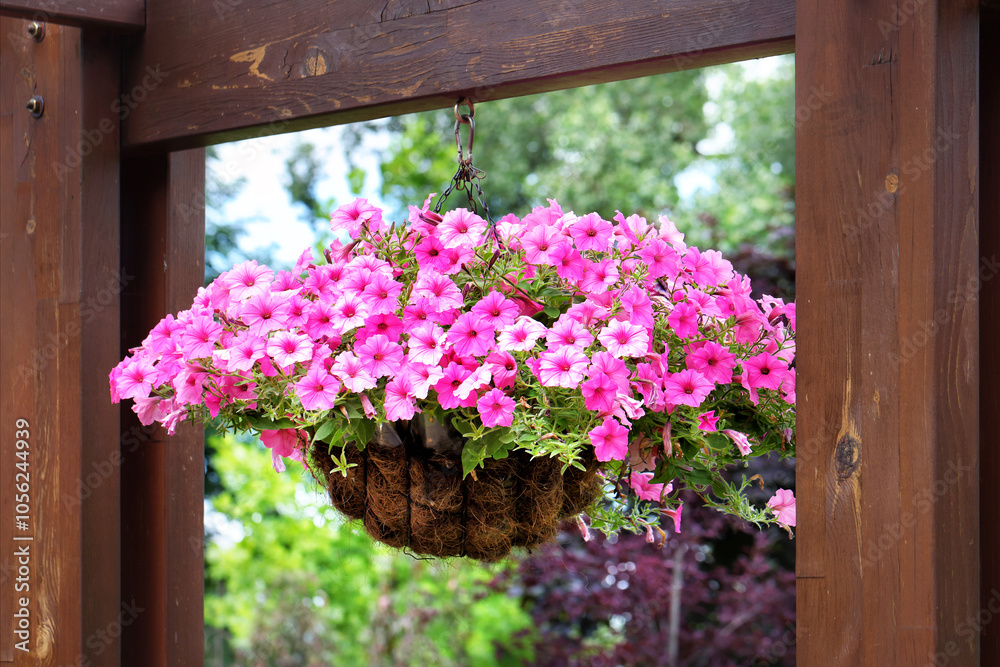 A vibrant hanging basket of pink petunias in a lush garden during a sunny afternoon