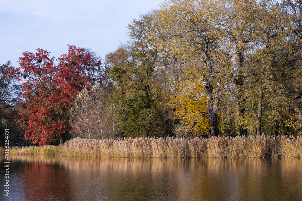 Picturesque autumn lake with vibrant red and yellow foliage reflecting in calm water under a clear sky. Seasonal beauty, tranquility in nature, and vibrant autumn colors in a peaceful outdoor scene Picturesque autumn lake with vibrant red and yellow foliage reflecting in calm water under a clear sky. Seasonal beauty, tranquility in nature, and vibrant autumn colors in a peaceful outdoor scene