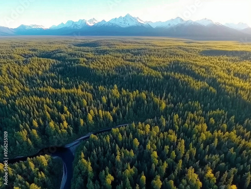 "Aerial View of Northern Taiga: An Expansive Emerald Sea of Coniferous Forests and Untouched Wilderness, Capturing Nature's Majesty from Above