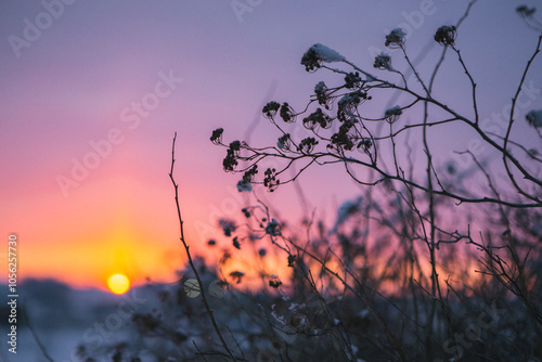 A beautifully blurry image showcasing a stunning sunset, with a prominent tree branch delicately positioned in the foreground of the scene