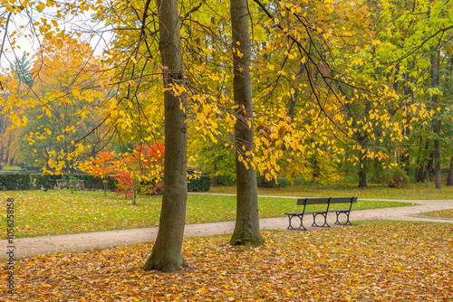 Poland capital city Warsaw Royal Lazienki Park trees decorated with autumn colors and leaves and flowers with detail shots photo