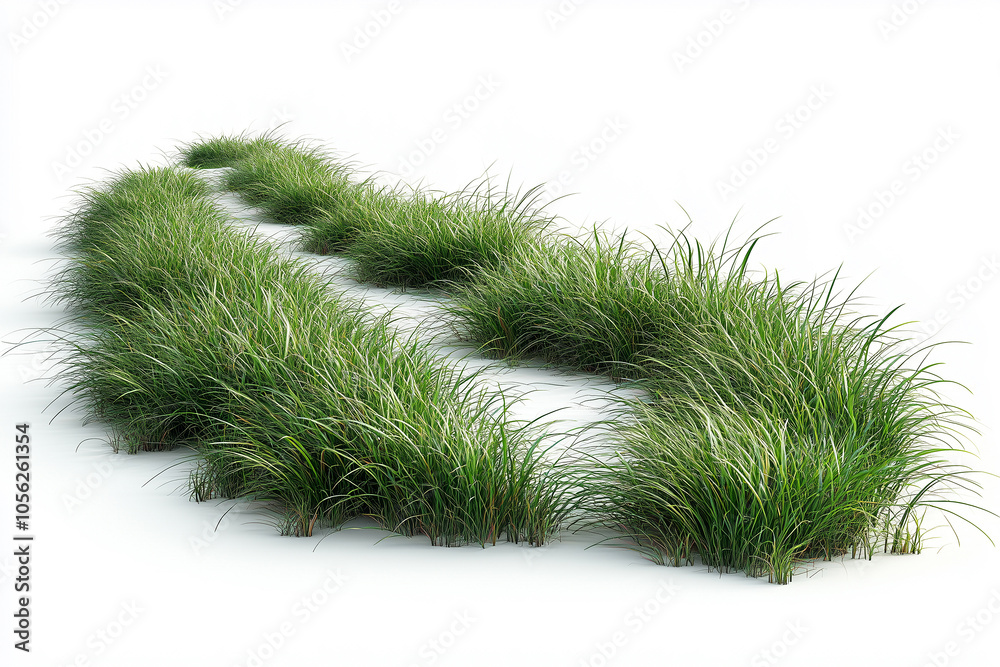 A curving pathway of bending grass in an isolated field under bright sunlight during a serene afternoon A curving pathway of bending grass in an isolated field under bright sunlight during a serene afternoon