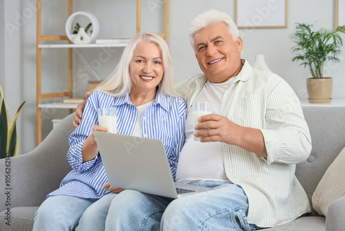 Happy senior couple with glasses of milk and laptop sitting on sofa at home