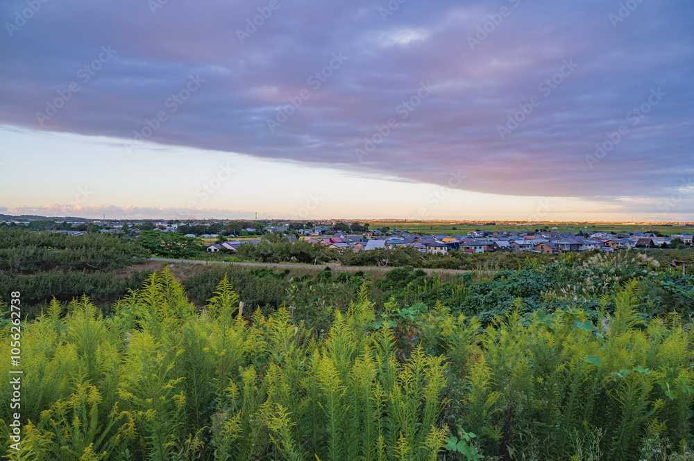 Fototapeta premium 新潟 峰岡丘陵からの景色