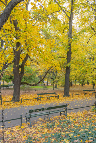 Poland capital city Warsaw Royal Lazienki Park trees decorated with autumn colors and leaves and flowers with detail shots photo