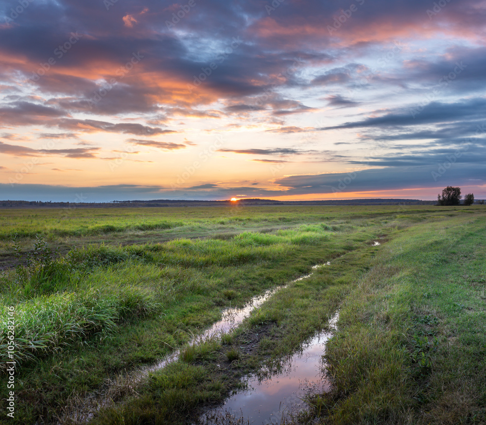 Fototapeta premium A field with a road running through it and a sunset in the background