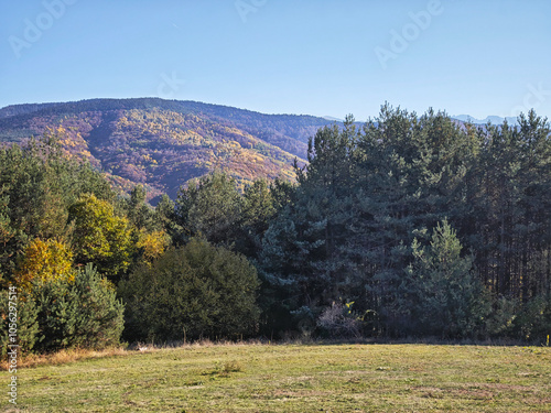 Autumn view of Plana Mountain, Bulgaria photo