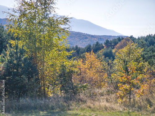 Autumn view of Plana Mountain, Bulgaria photo