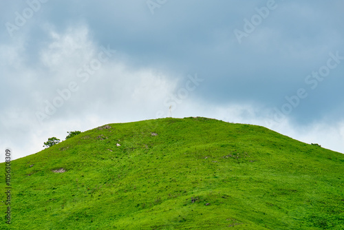Canvastavla The nature of the Khasansky district of Primorsky Krai, Russia