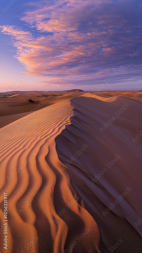 © Shozib - Sand dunes stretching under a colorful sunset sky in the desert