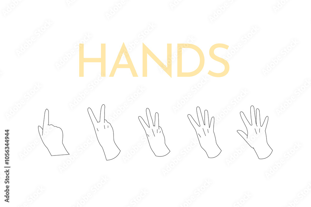 Obraz premium 手 カウント 数字 右手 ハンドサイン 手の甲