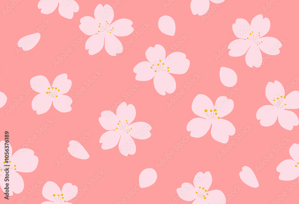 Seamless Cherry Blossom or Sakura Pattern on Pink Background, vector and illustration Seamless Cherry Blossom or Sakura Pattern on Pink Background, vector and illustration