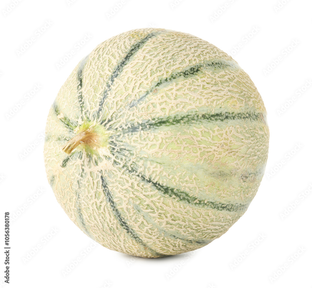 One whole Cantaloupe melon isolated on white One whole Cantaloupe melon isolated on white