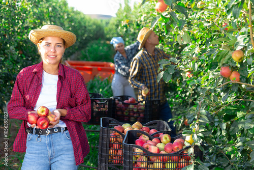 Youthful woman with apples in hands standing amongst trees in plantation. Her co-workers harvseting apples. photo