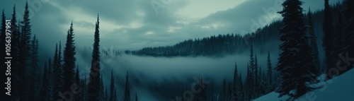 A serene winter landscape with fog and towering evergreen trees in a snowy valley.