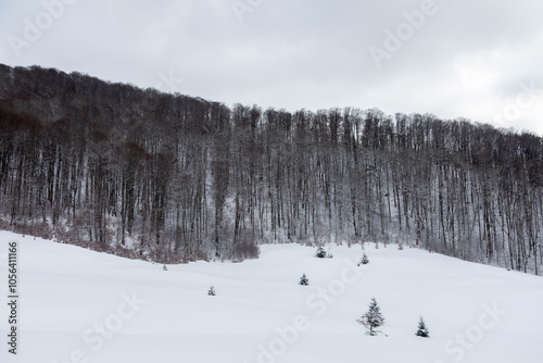 A minimalist winter landscape with a focus on the snowy field and a line of bare trees.