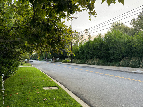 road through an idyllic green neighborhood - lawn, trees, bushes, hedges, telephone pole with wires, empty street with driveways, mail box, signs
