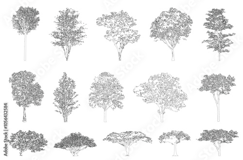 Minimal style cad tree line, Side view, set of graphics trees elements outline symbol for architecture and landscape design drawing. Vector illustration in stroke fill in white. Tropical