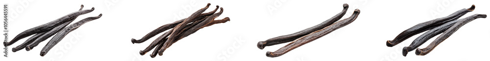 Fototapeta premium Variety of vanilla beans. Set of png on transparent background