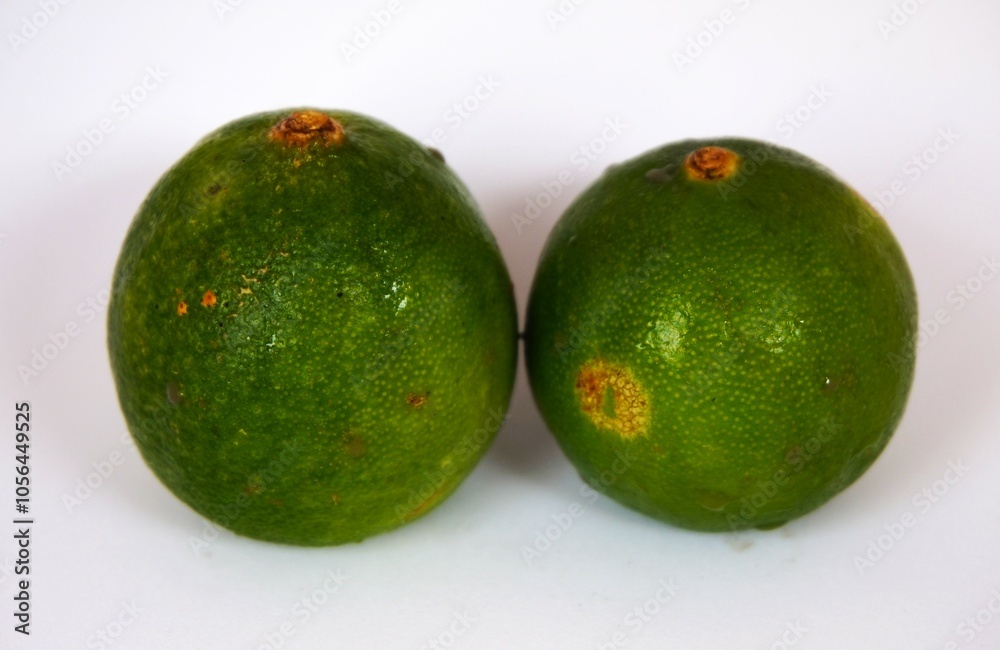 photo of fresh green lime, on white background photo of fresh green lime, on white background
