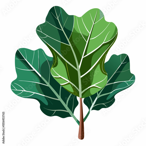 fig leaf