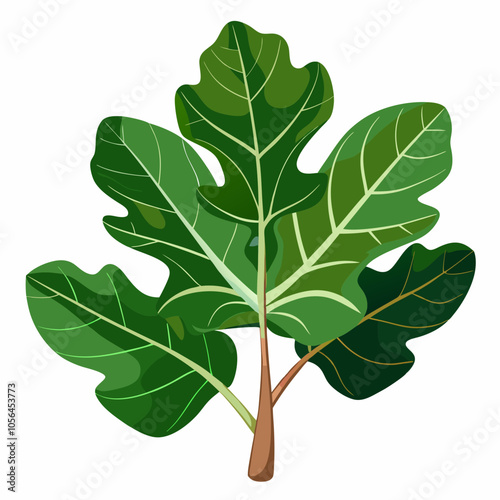 fig leaf