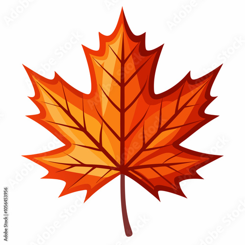 maple leaf