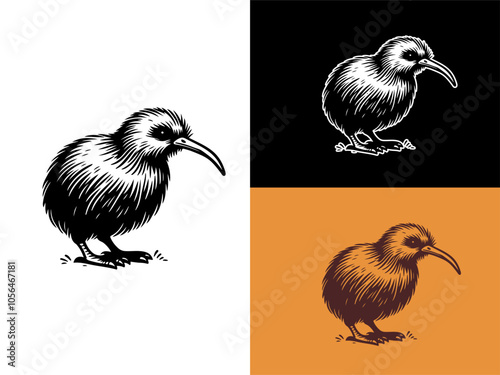 Meet the Kiwi Isolated Vector : A Cute and Curious Flightless Bird