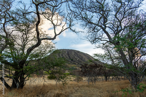 koko crater trail honolulu Hawaii  photo