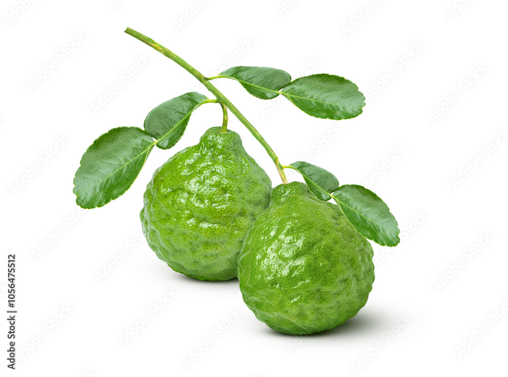 Bergamot on white Bergamot on white