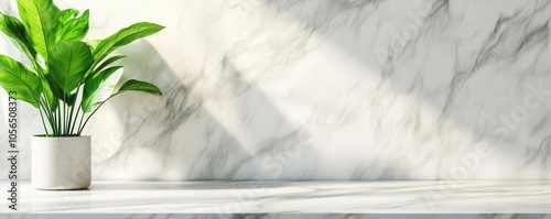 Marble kitchen countertop in a minimalist, bright interior with plants and soft daylight, emphasizing cleanliness and style