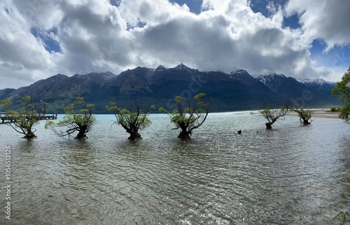 Glenorchy Tree on the lake Wakatipu and beautiful mountains at the background  photo