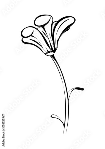 Blume
