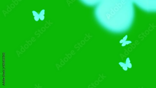  butterfly 4K animation with green screen background
