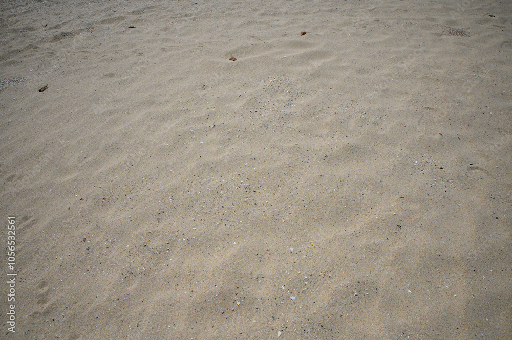 Footprints vanish into the ocean waves on a sandy beach under the summer sun Footprints vanish into the ocean waves on a sandy beach under the summer sun