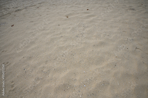 Footprints vanish into the ocean waves on a sandy beach under the summer sun