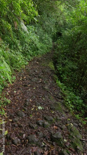 Caminando por un sendero rocoso en un bosque tropical húmedo en Costa Rica, rodeado de vegetación espesa