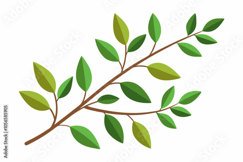 Green branch with leaves