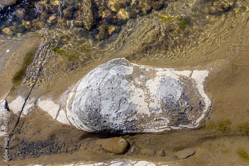 nature park , a walk along the riverbed with an overview of the stone bottom and banks photo