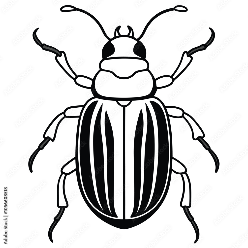 beetle vector illustration black and white beetle vector illustration black and white