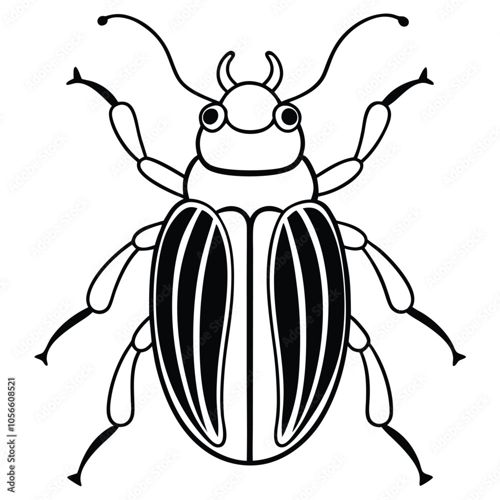 beetle vector illustration black and white 