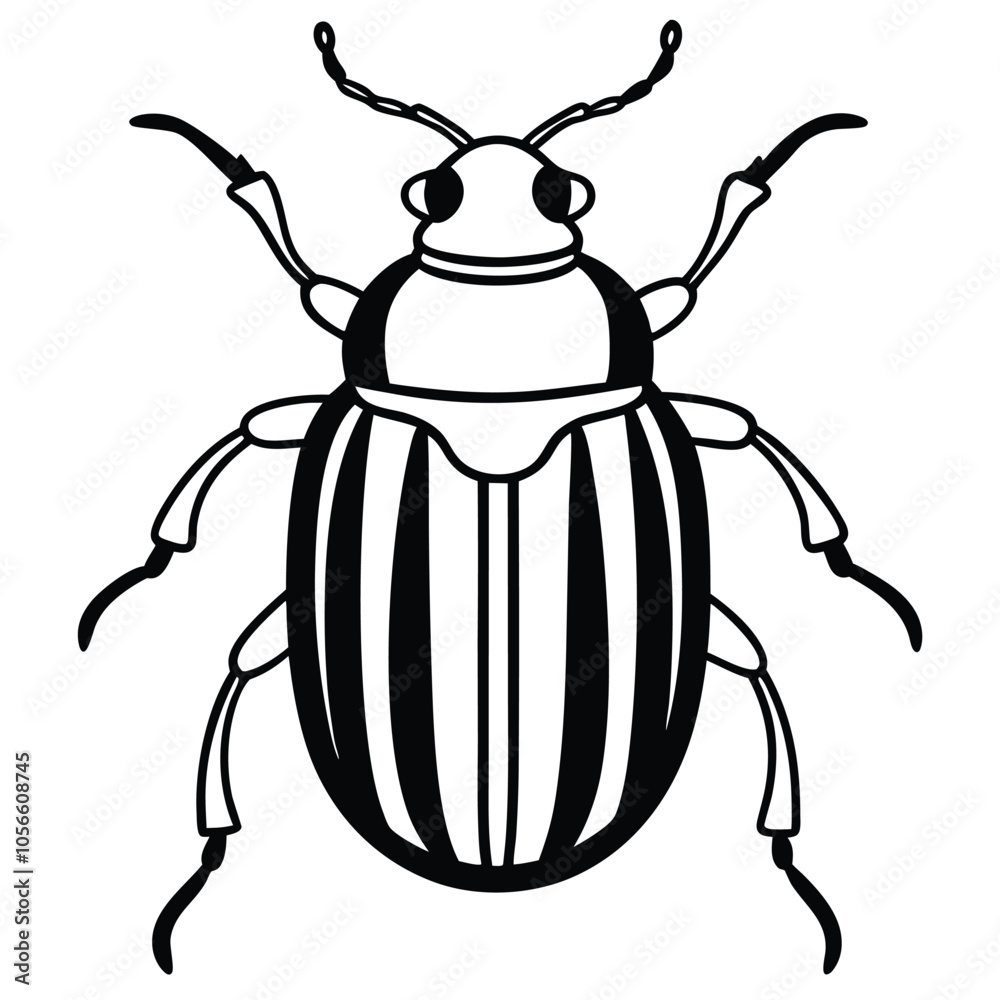 beetle vector illustration black and white beetle vector illustration black and white