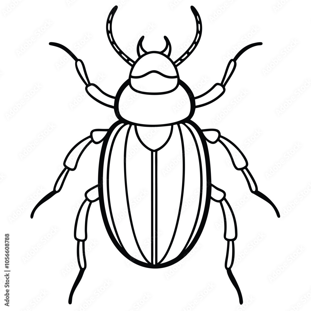 beetle vector illustration black and white 