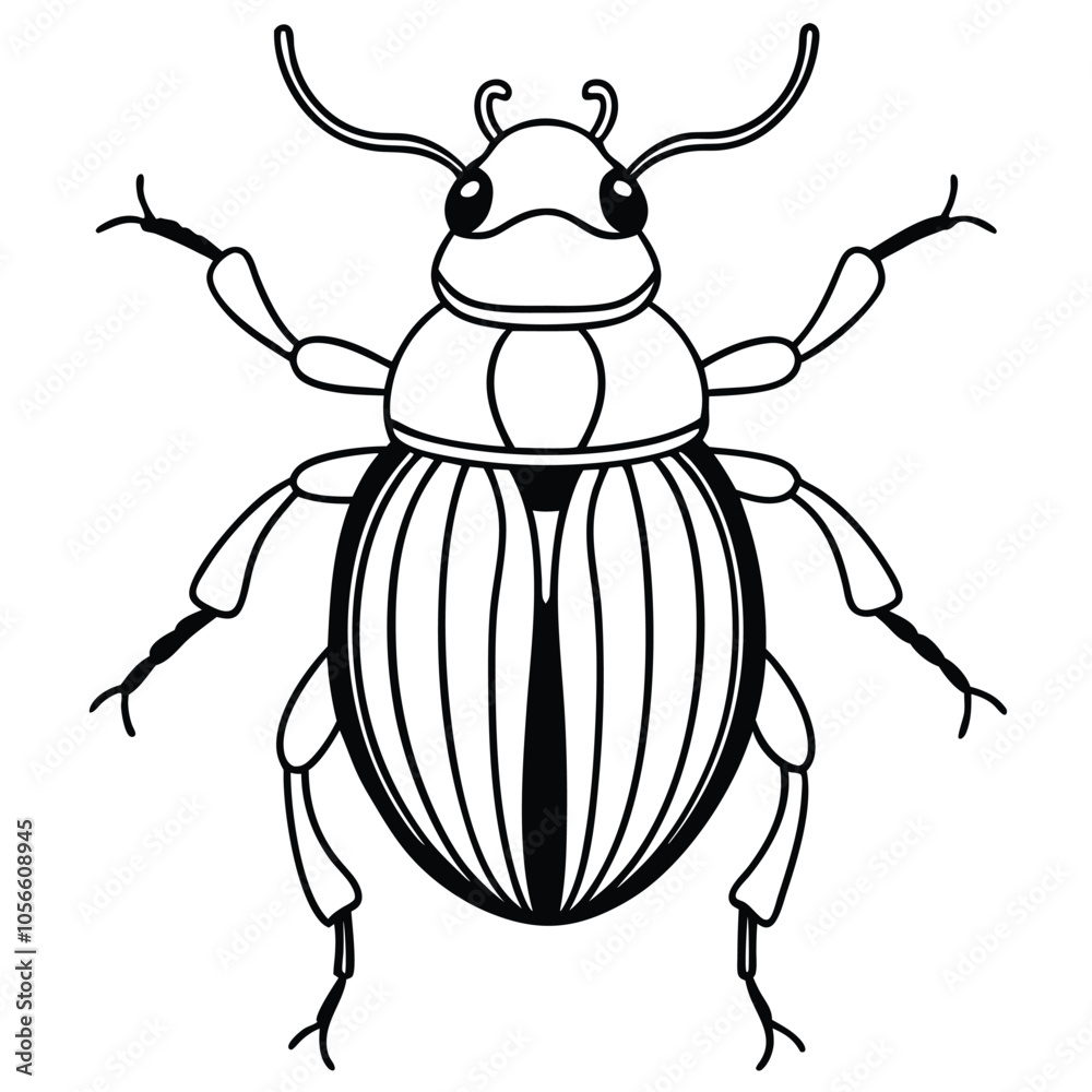 beetle vector illustration black and white beetle vector illustration black and white