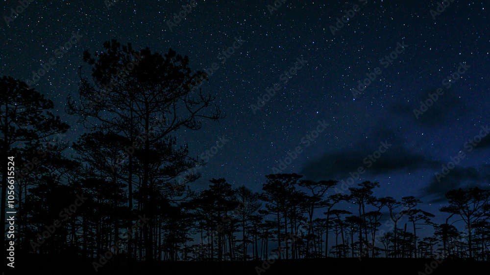 Night sky with stars at pine tree forest , Phu Soi Dao National Park, Uttaradit, Thailand Night sky with stars at pine tree forest , Phu Soi Dao National Park, Uttaradit, Thailand
