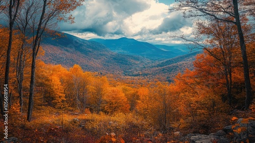 Stunning fall scenery in the mountains