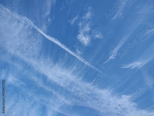 東京のそら(24.10.31)