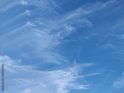 東京のそら(24.10.31)