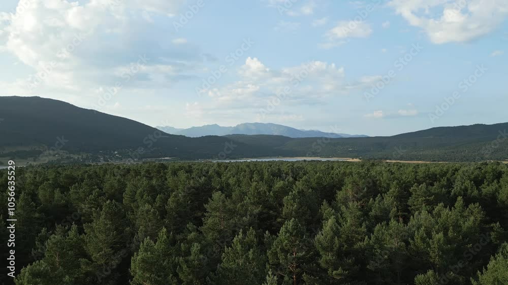 Captivating landscape showcasing a mountain lake nestled behind a dense pine forest, with a smooth camera flying forward revealing the serene beauty of nature and the vibrant colors of summer Captivating landscape showcasing a mountain lake nestled behind a dense pine forest, with a smooth camera flying forward revealing the serene beauty of nature and the vibrant colors of summer