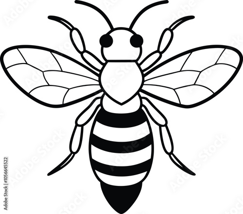  bee  vector illustration black and white 